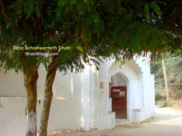 Shri Chote Bihari Ji Mandir