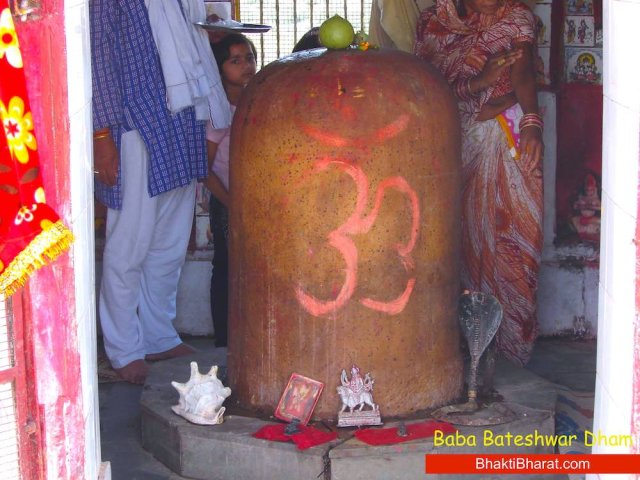 Moteshwar Mahadev Shivling by touch of Shivling white patches/marks on skin will removed