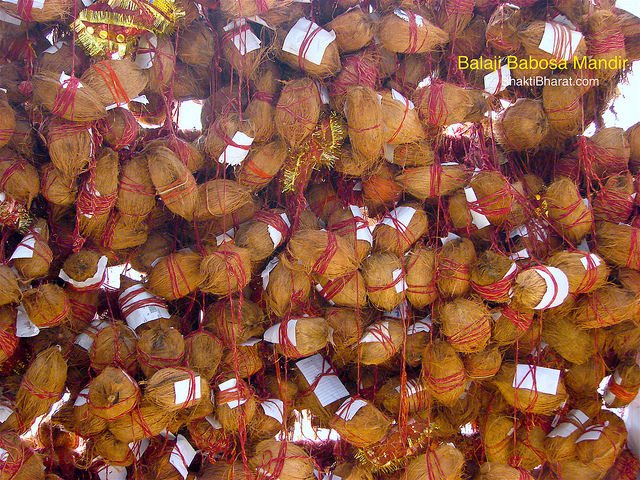 According to popular belief, tying a nariyal in the temple fulfill devotees wishes.