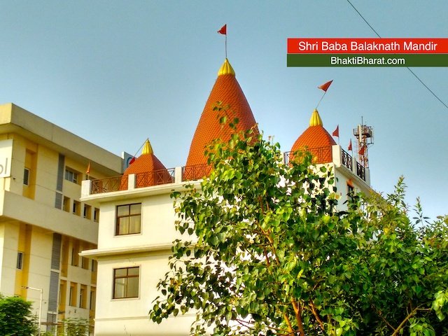 Beautiful combinational view of burgundy and Green color as temple shikhar and Peepal Tree near Desai Village.