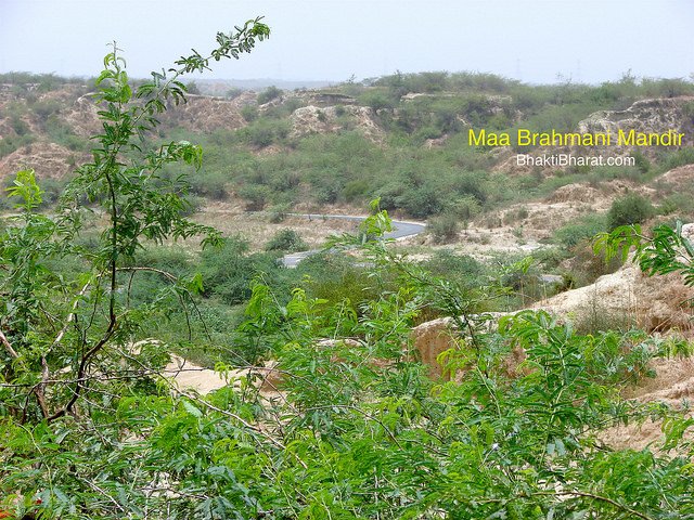 Barmani Barmani
