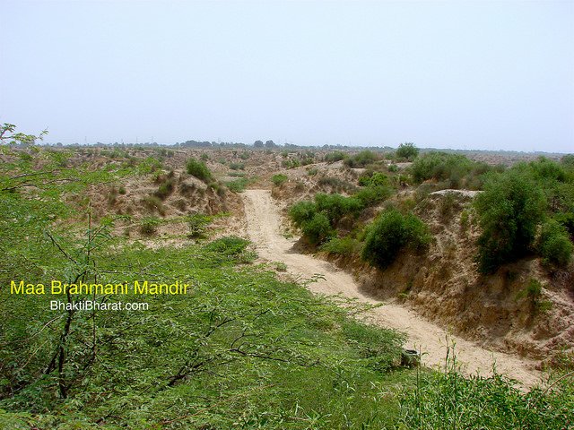 Barmani Barmani