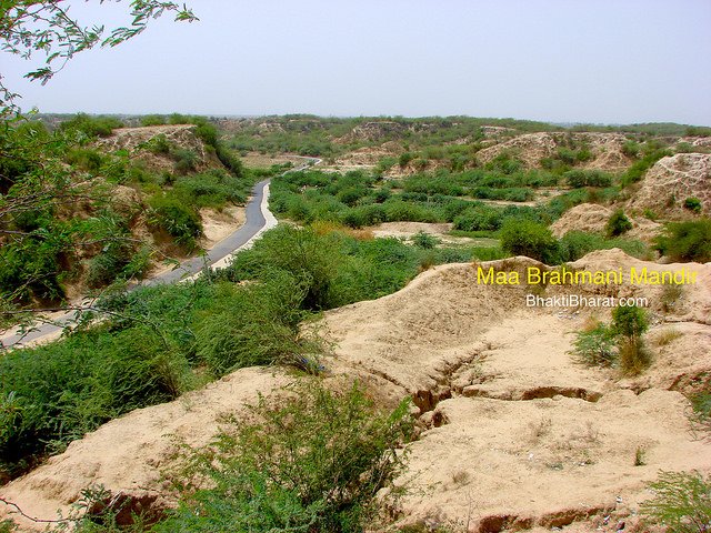 Barmani Barmani