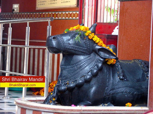 Large black shined Shri Nandi in front of Shivling in central open hall.