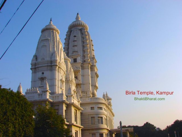 Back Side View: A sprlicking, magnificent pure white shining with full of evening sun bath