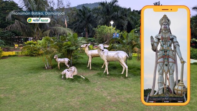 Garden Area Garden Area