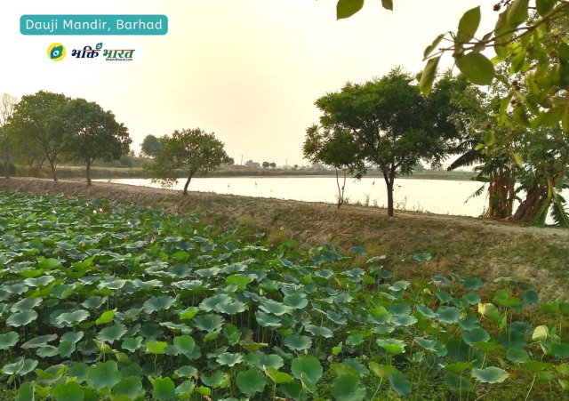 Large Holy Pond Large Holy Pond