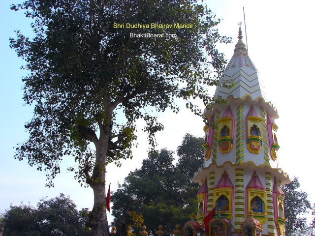 Temple Shikhar Surrounded with Greenery