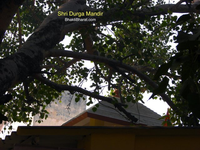 श्री दुर्गा माता मंदिर