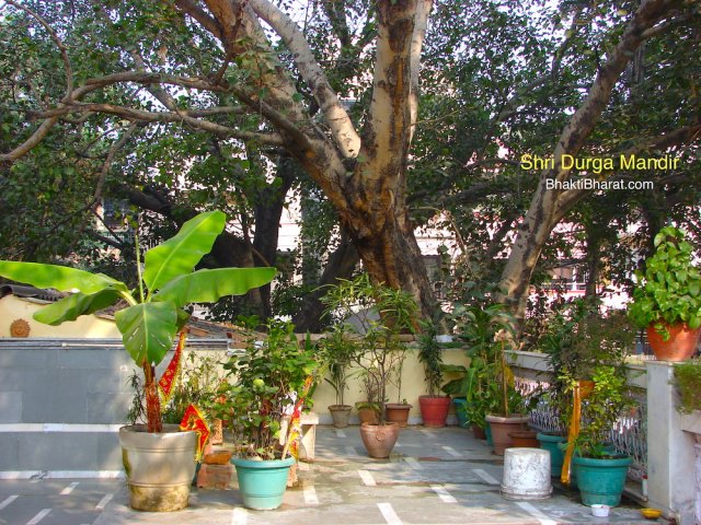 श्री दुर्गा माता मंदिर