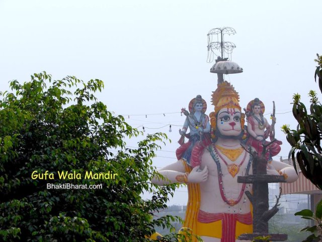 Close-up of Shri Hanuman Murti with green view of mango inflorescence, mango inflorescence are group of small flowers of mango tree.