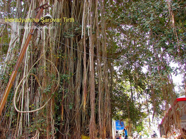 इन्द्रद्युम्न सरोवर तीर्थ