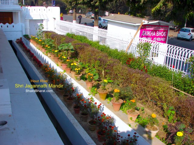 Green and Colorful Garden Area