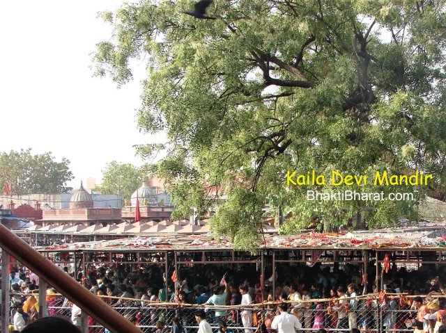 Mandir Parisar Mandir Parisar