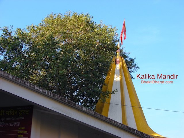 Main Shikhar, Peepal Tree