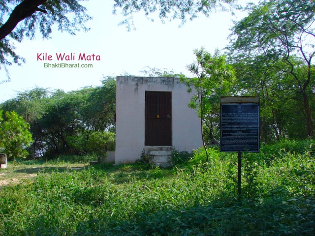 Green View in Kile Wali Mata