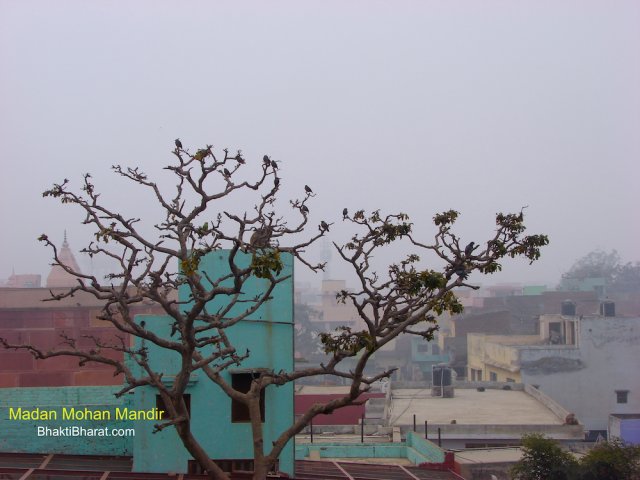 A large view of Vrindavan through the hight of Madan Mohan Temple. A large view of Vrindavan through the hight of Madan Mohan Temple.