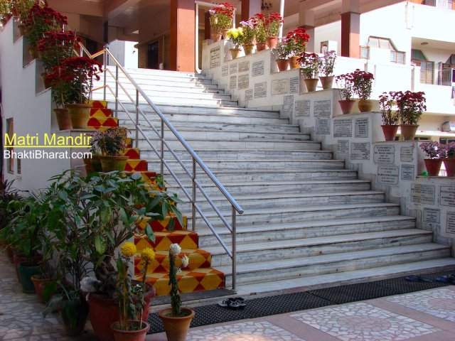 The group of red color flowers planted in main campus along with more other flower plants.