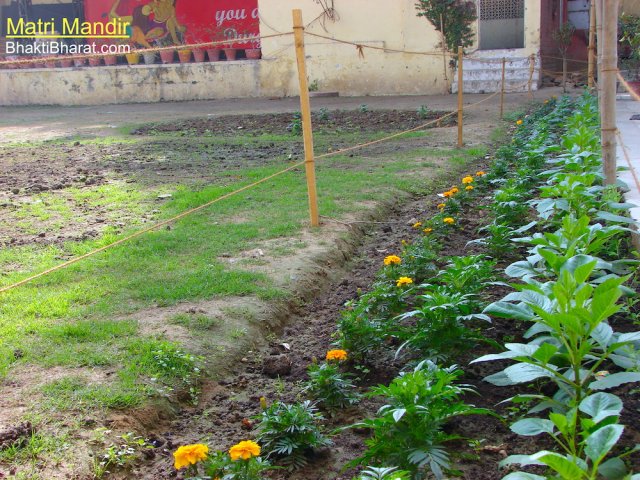 मातृ मंदिर