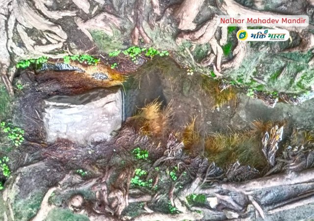 Kadam tree at 500 feet height | Water Stream Kadam tree at 500 feet height | Water Stream