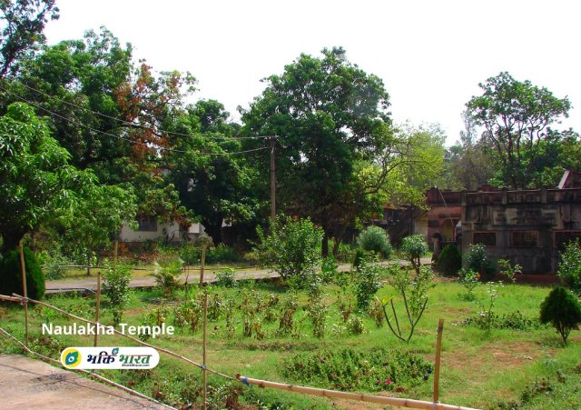 Garden Garden