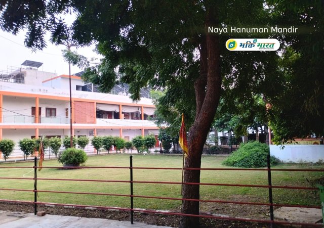 हरियाली भरा सुन्दर वातावरण