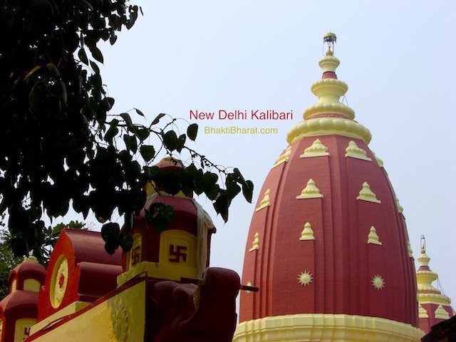 Full View with Entry Full View with Entry