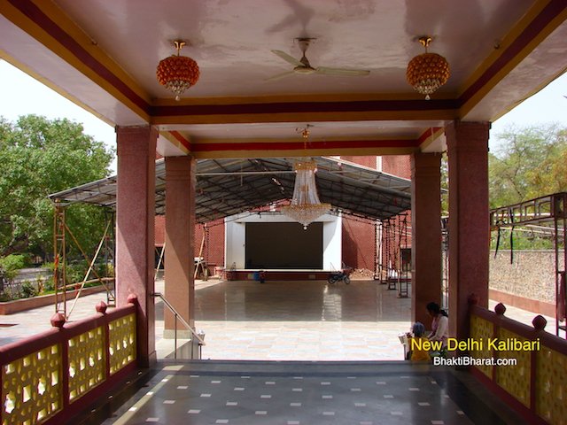 Aegle marmelos, Bael, Golden Apple, Stone Apple, Wood Apple, Bhel Tree Aegle marmelos, Bael, Golden Apple, Stone Apple, Wood Apple, Bhel Tree