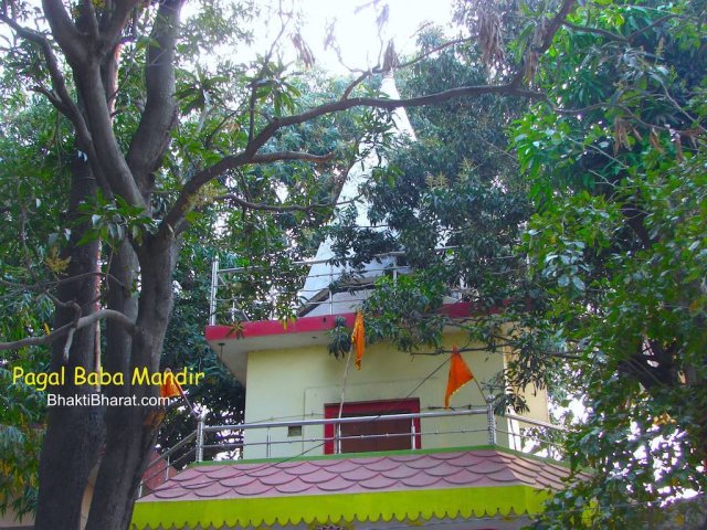 Shri Durga mandir colored in yellow, decorated with saffron colored flag. Having all nine form of navdurga