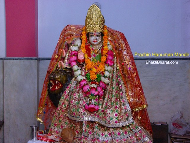 Maa Sherawali Near Shri Hanumant Dham Maa Sherawali Near Shri Hanumant Dham