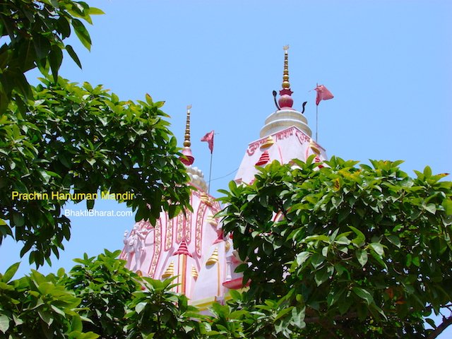 Top of The Shikhar from Mother Daily Side Top of The Shikhar from Mother Daily Side