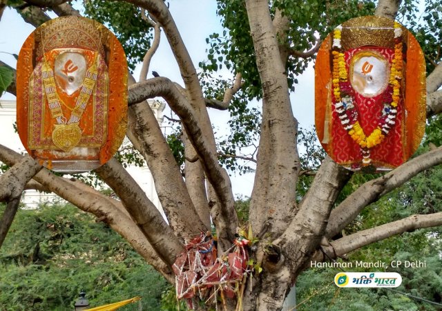 Peepal tree with Prachin Hanuman Mandir Peepal tree with Prachin Hanuman Mandir