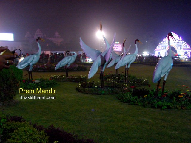 Few more nature related jhaki with birds, tree and plants can also view.