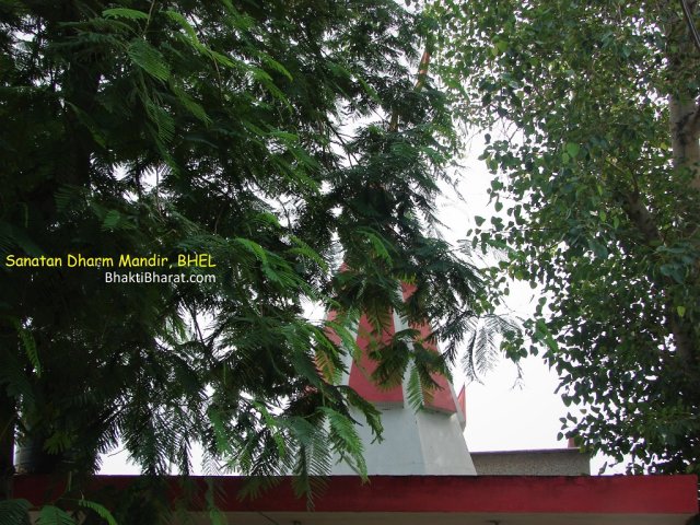 Shikhar with Greenery