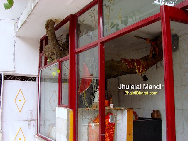 Holy Peepal Vriksh inside the temple.