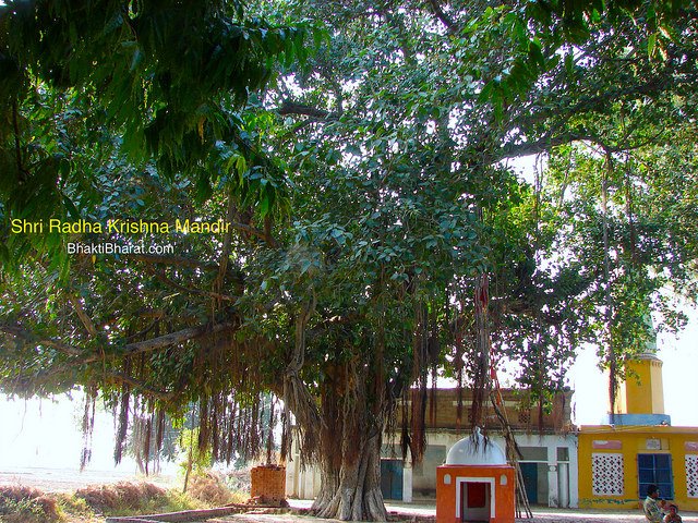 Shri Hanuman Ji Dham, Temple in full view. Shri Hanuman Ji Dham, Temple in full view.