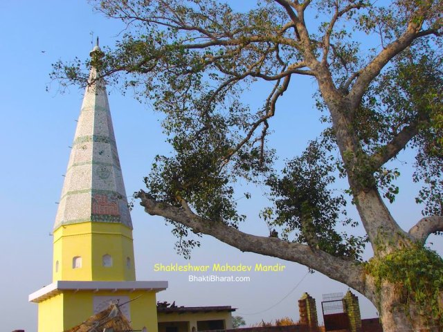 Temple With Peepal Temple With Peepal