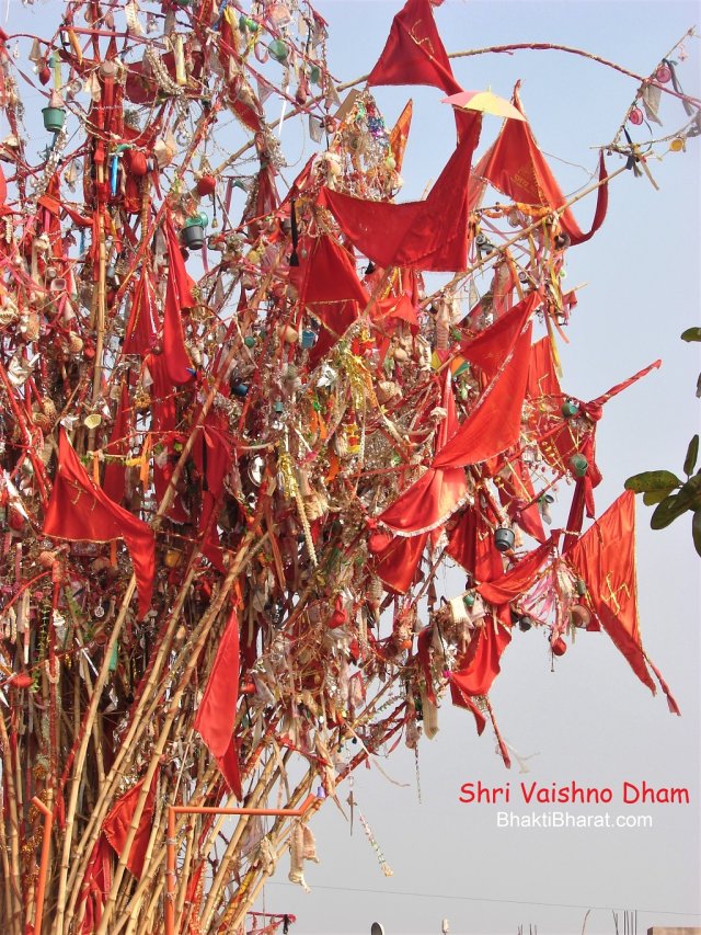 Neja: Red Color is Everywhere as Mata Ka Jhanda / Flag Neja: Red Color is Everywhere as Mata Ka Jhanda / Flag