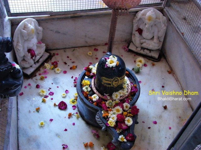 Shivling Shivling