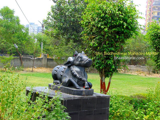 Large Shri Nandi with green belt at background.