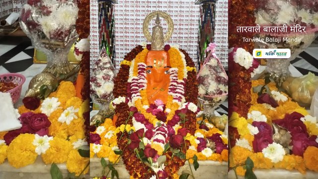 तारवाले बालाजी मंदिर