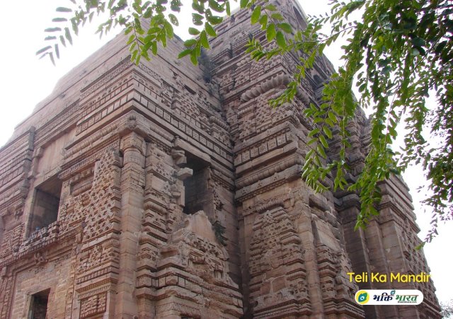 Temple Side View Temple Side View