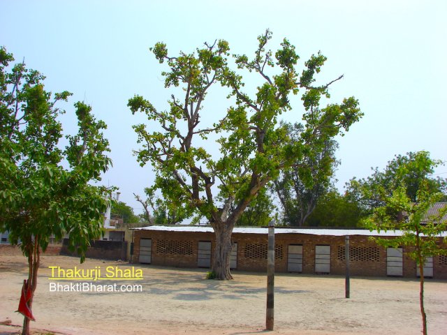 Dharmshala, satsang hall, an educational intitution a primary school and playground with Peepal Tree in center