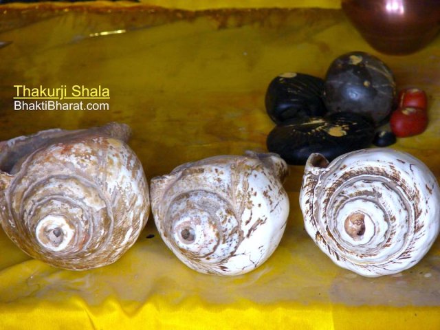 Most attractive thing of the temple related utility are shakhs. These shankhs are having spiritual importance during bhajan kirtans. These are also abhushan of Lord Shri Hari.