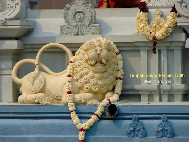 Beautiful golden wall