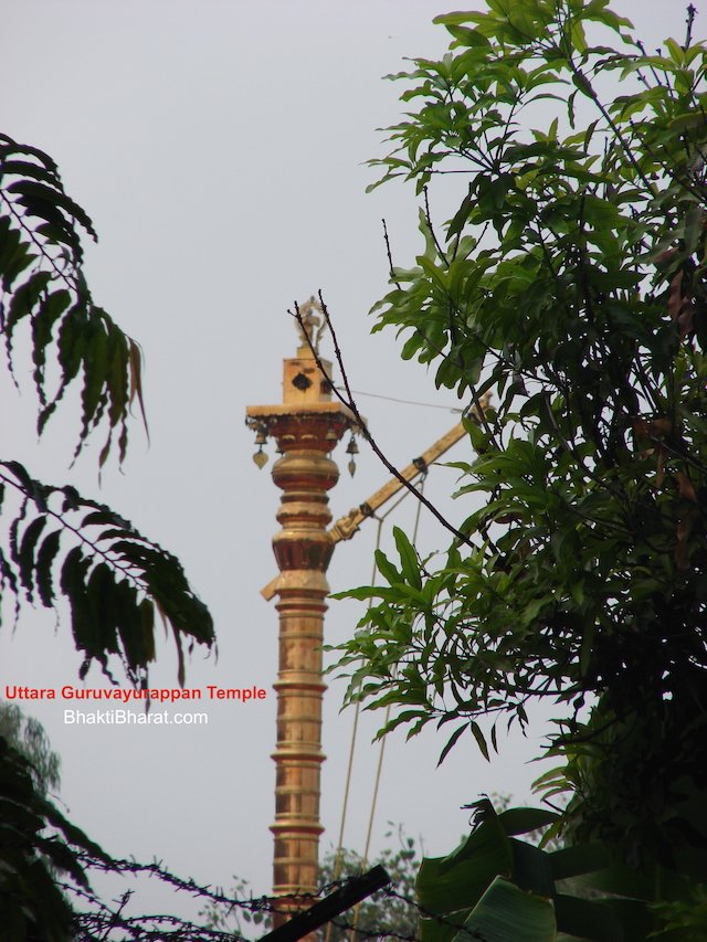 Surrounding with Greenery Surrounding with Greenery
