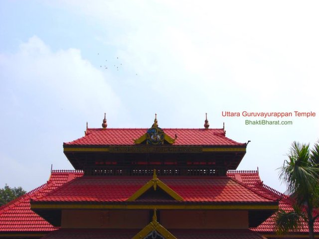 Beauty of Nature with flying birds Beauty of Nature with flying birds