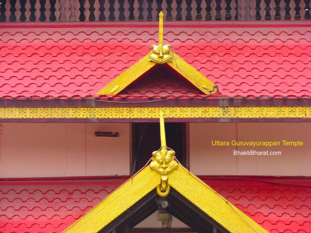 Shikhar in closeup Shikhar in closeup