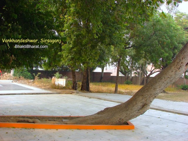 Green Area Green Area
