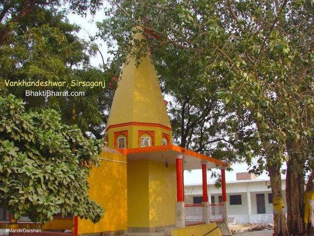 Shiv Mandir and Peepal Tree Shiv Mandir and Peepal Tree